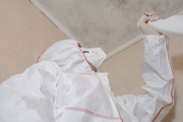 Best Fast Mold Removal  in Turpin Hills, OH